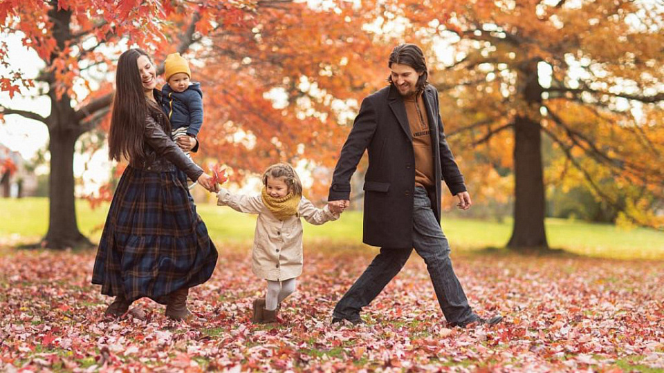 В Воронежской области растёт число мигрантов из стран Запада