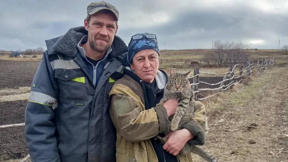 Мечта с господдержкой