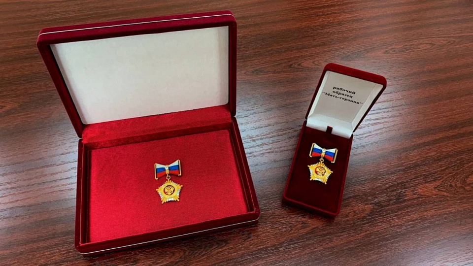 Жительнице Воронежской области присвоено звание «Мать-героиня» 