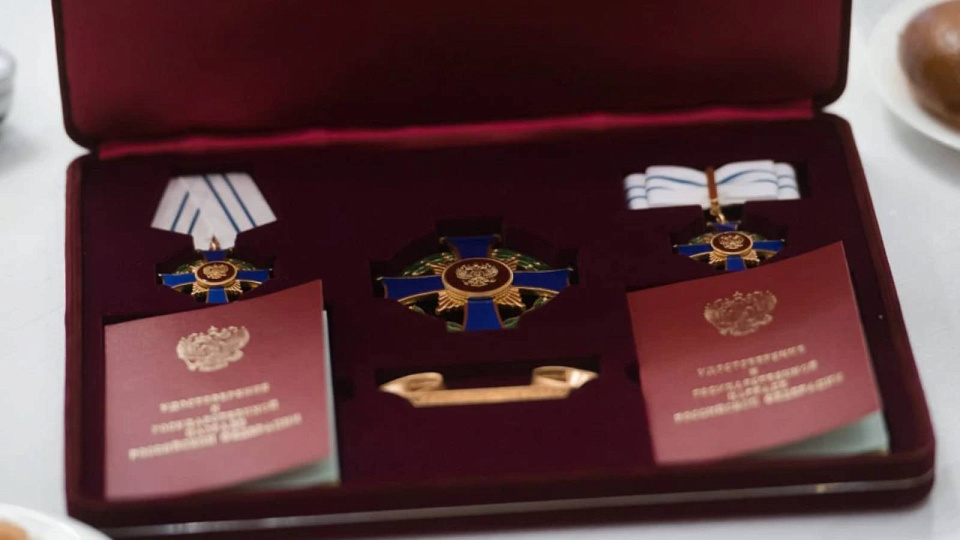 Воронежскую многодетную семью наградили орденом «Родительская слава» 