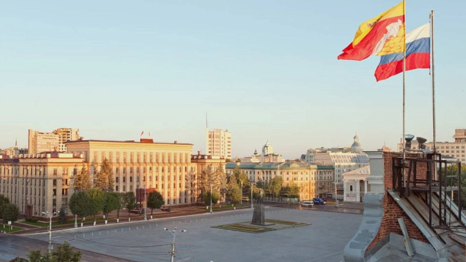 Воронежцам рассказали о ключевых показателях эффективности работы власти