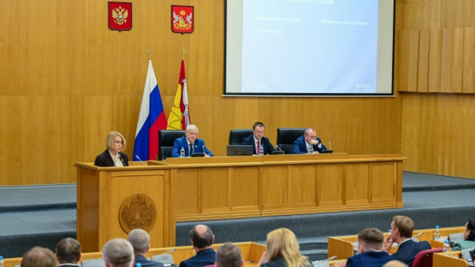 В Воронеже представили проект регионального закона по обеспечению межнационального согласия