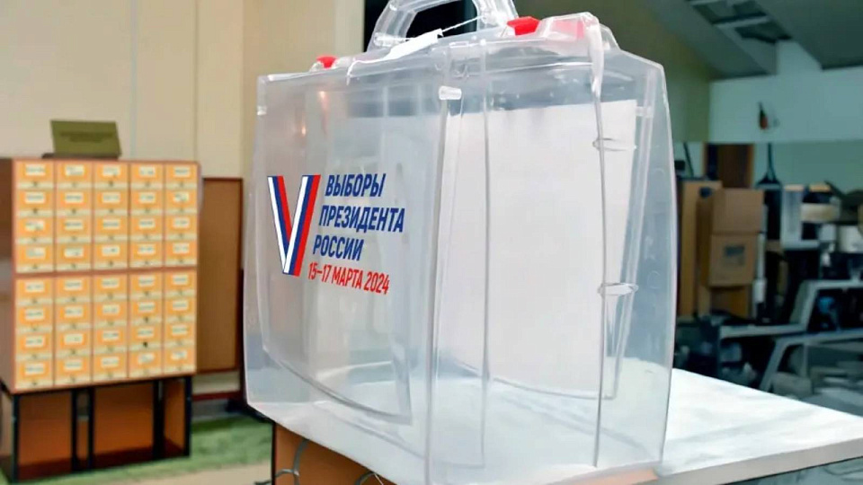 Воронежцы смогут проголосовать на выборах Президента РФ, не выходя из дома
