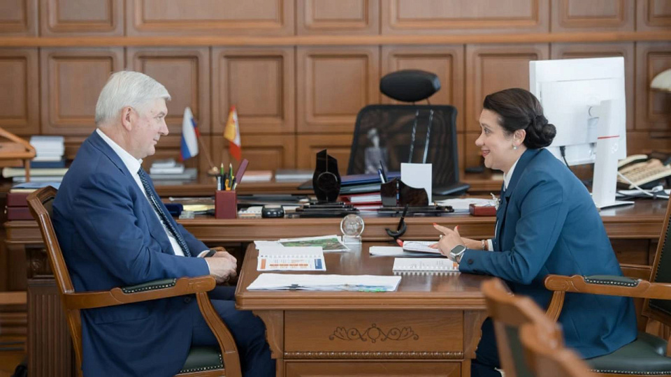 Губернатору представили проект по стимулированию рождаемости в регионе