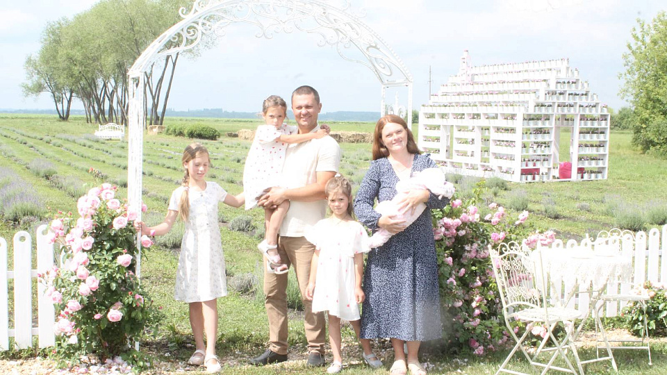 Все оттенки лилового