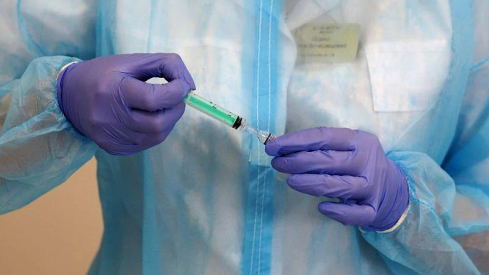 В Воронеже открыли горячую линию по профилактике болезней при поездках в тропические страны