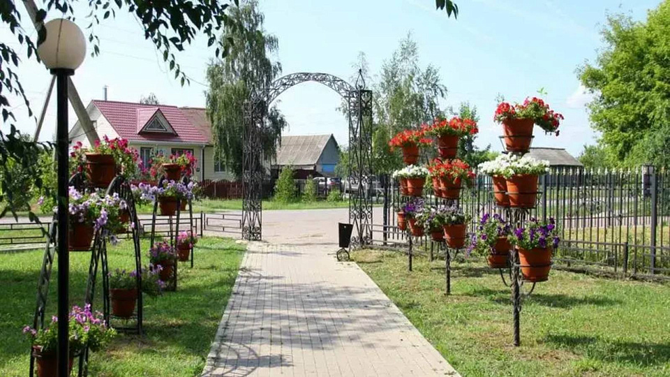 В основной этап конкурса «Самое красивое село Воронежской области» пройдут 20 населённых пунктов региона