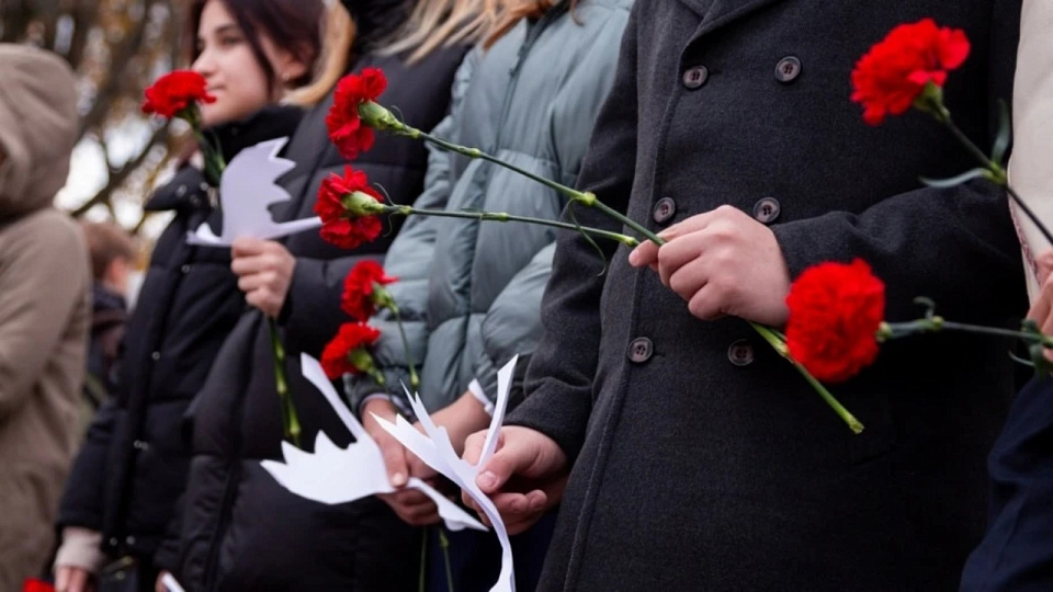 Воронежцы станут участниками памятной акции «Дни белых журавлей»