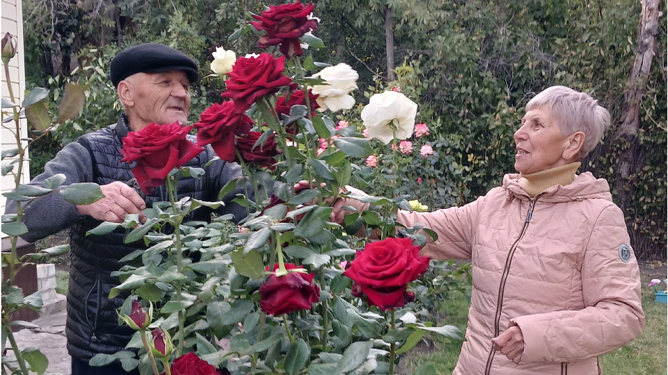 Из Молдовы с любовью