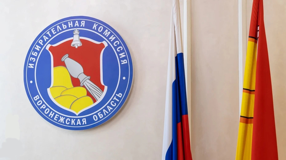 В Воронежской области началось голосование на выборах в областную и городскую думы и советы депутатов муниципального уровня
